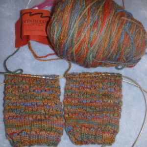P1000918 mountain color socks