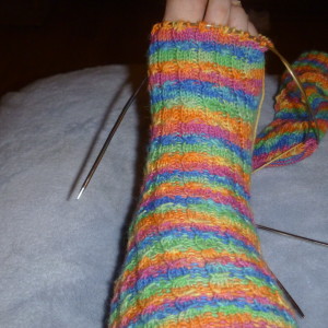 P1010124 ssherbet sock to toe