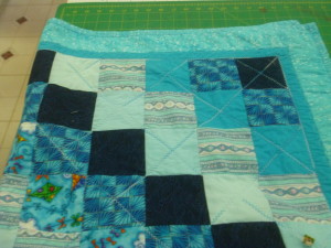 P1010893 blue blanket