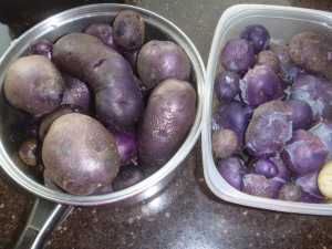 P1010897 blue potatoes