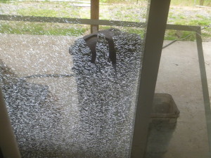 P1010928 shattered window