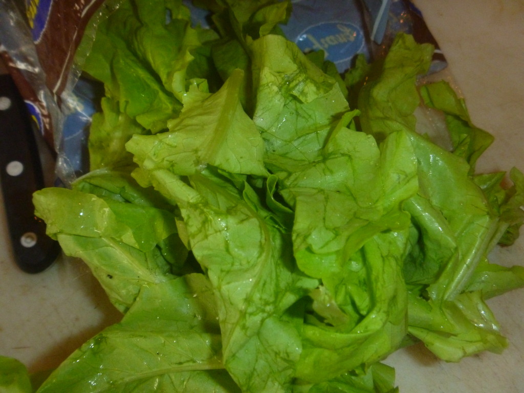 P1020012 lettuce Adventures in fiberAdventures in fiber