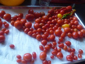 P1020158 tiny tomatoes