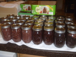 P1020166 canned beans