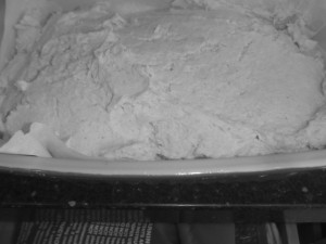 P1020225 gluten free bread rising