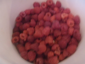 P1020265 2 qts raspberries