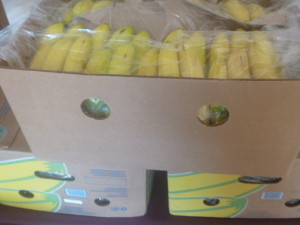 P1020301 3 boxes bananas