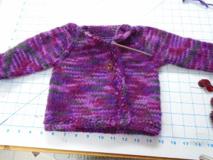 DSC00097 purple sweater